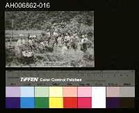 藏品(蕃人割稻手彩明信片 (昭和年))的圖片